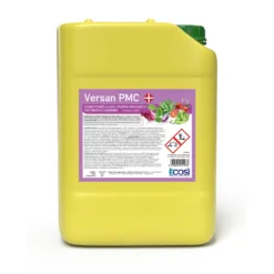 VERSAN C10 È COSÌ